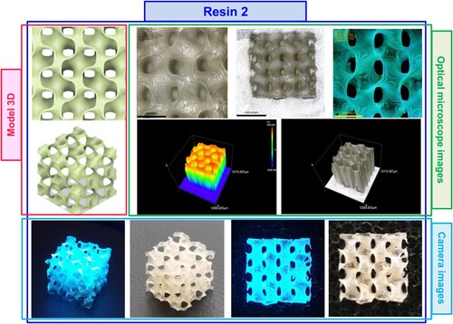 Figure 16. Photographs of the print obtained with resin 2 using DLP technology; images taken on an optical microscope and camera; images taken under visible light and with a UV flashlight.