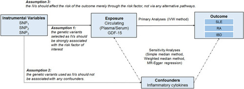 Figure 1 Schematic diagram of the Mendelian randomization (MR) assumptions underpinning an MR analysis of the association between circulating GDF-15 levels and risk of rheumatic diseases.