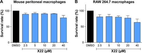 Figure 2 Effect of X22 on MPMs and RAW 264.7 macrophage viability analyzed by an MTT assay.