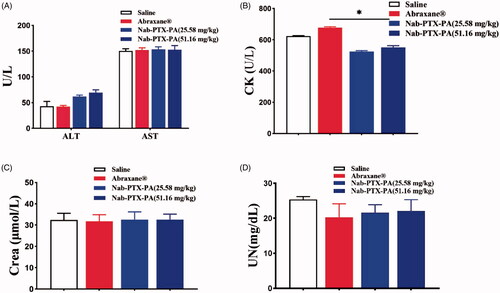 Figure 12. Blood biochemical tests. (A) ALT, AST (U/L), (B) CK (U/L), (C) Crea (μmol/L), (D) UN (mg/dL).