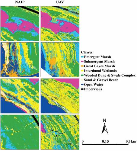 Figure 5. Selected areas of the PAC classification delineated by the RF classification for NAIP and UAV imageries highlighting detail differences for the natural community classes.