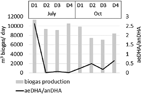 Figure 3. Relationship between the biogas production and the ratio aeDHA/anDHA in the eight analysed samples.