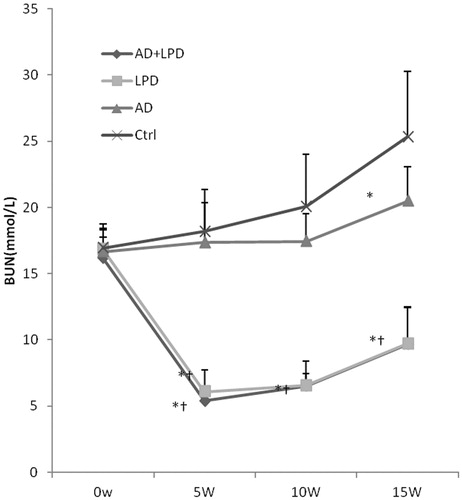 Figure 3. BUN characteristics of rats with early-stage renal failure. Notes: Ctrl, control group; LPD, low protein diet group; AD, AST-120 adsorbent group; and AD + LPD, AST-120 + low protein diet group. *Compared with ctrl rats, p < 0.01. †Compared with AD rats, p < 0.01.