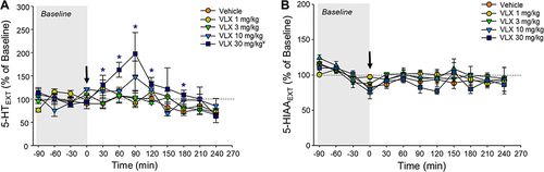 Figure 2 Effect of viloxazine on (A) 5-HT and (B) 5-HIAA extracellular levels in the PFC up to four hours post-administration. Dialysate samples (ISF) were collected at 30-minute intervals for determination of 5-HT and 5-HIAA levels following i.p. administration of vehicle (n=7) or viloxazine 1 mg/kg (n=5), 3 mg/kg (n=5), 10 mg/kg (n=4), and 30 mg/kg (n=5). Changes of extracellular levels of (A) 5-HT and (B) its metabolite 5-HIAA over time. All data represent mean ± SEM of % of changes relative to the pre-dosing levels (% of Baseline) for each animal. Arrow at time 0 represents the time of viloxazine i.p. administration. Tukey’s post-hoc analysis ¥p<0.05 main effect of treatment versus vehicle; *p<0.05 treatment x time interaction versus vehicle.