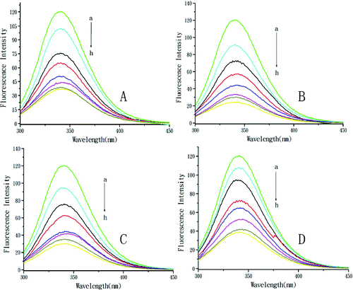 Figure 1. Quenching effect of DMY and its complexes on BSA fluorescence intensity. Different concentrations of DMY (A), DMY–Cu (II) (B), DMY–Mn (II) (C) and DMY-Zn (II) (D): a–h: 0.0 × 10−5 mol L−1 (a), 1.0 × 10−5 mol L−1 (b), 2.0 × 10−5 mol L−1 (c), 3.0 × 10−5 mol L−1 (d), 4.0 × 10−5 mol L−1 (e), 5.0 × 10−5 mol L−1 (f), 6.0 × 10−5 mol L−1 (g), 7.0 × 10−5 mol L−1 (h); λex = 280 nm; T = 300 K.