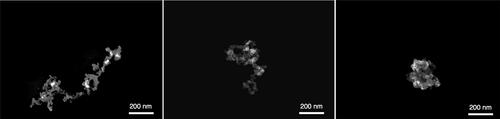 Figure 1. Scanning electron microscopy micrographs of 350 nm initial mobility diameter soot aggregates: fresh soot, coated with anthracene, coated with phenanthrene. While the anthracene coating does not affect the branched fractal structure of the aggregate, the phenanthrene causes its restructuring to a globule.