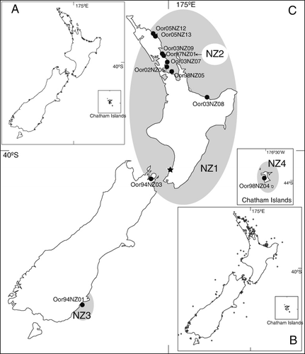 Figure 1 The distribution of killer whales (Orcinus orca) around New Zealand. A, Strandings (from 1915 to 2009; Department of Conservation Citation2012b). B, Sightings (from 1985 to 2009; Department of Conservation Citation2012a). C, Location of samples collected around New Zealand utilised in this analysis, including their haplotype assignment (sample code associated to the database of New Zealand Cetacean Tissue Archive, University of Auckland). Location of collection for Type D killer whale from Foote et al. (Citation2013) is shown with a filled star.