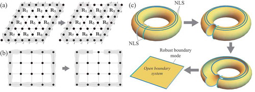 Figure 2. (a) The robust boundary mode of the kagome lattice model. This can be obtained by adding all the compact localized states centered at all the unit cells (from R1 to R9). If one subtract a compact localized state centered at R2 to try to cut the robust boundary mode, it cannot be cut but deformed as illustrated in the right-hand side. (b) A boundary eigenmode on the bilayer square lattice, which is obtained by adding compact localized states centered at boundary sites. This boundary mode can be cut by subtracting a compact localized state on the boundary as shown in the right-hand figure. In (c), it is illustrated schematically how the non-contractible loop states are connected to the robust boundary mode by deforming the periodic boundary condition to the open boundary condition. All the figures are from [Citation81]