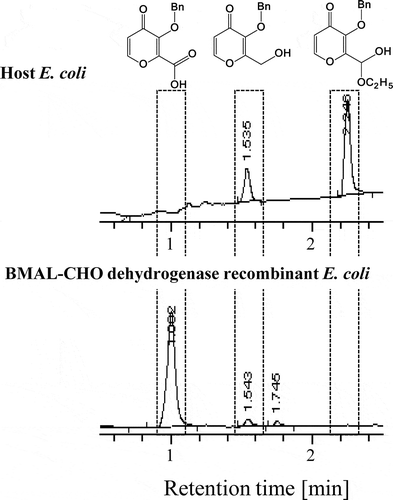 Figure 5. BMAL-CHO conversion by recombinant E. coli expressing BMAL-CHO dehydrogenase. The reactions were carried out with 20 µL of the reaction mixture containing 50% (v/v) the disrupted BMAL-CHO dehydrogenase-expressing recombinant E. coli solution, 0.25 mg/mL BMAL-CHO, 0.5 mM PMS, and 0.3 mM DCIP at pH 6.0 at 30°C for 30 min. BMAL derivative production was measured by 280 nm absorbance. The top chart indicates the reduction of BMAL-CHO by host E. coli cells, whereas the bottom chart indicates the production of BMAL-COOH by BMAL-CHO dehydrogenase-expressing recombinant E. coli cells. The peak at 2.2 min in the chart indicates the ethanol adducted hemiacetal form of BMAL-CHO.