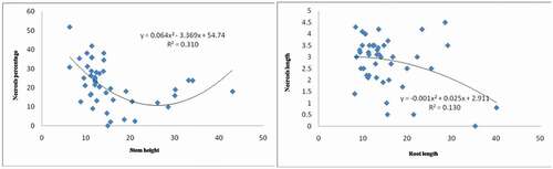 Figure 3. Regression equation between root length with necrosis length (right) and stem height with necrosis percentage