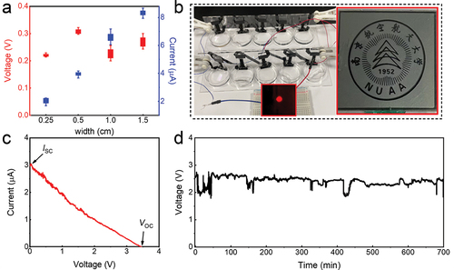 Figure 6. Demonstration of the rGO/PPy device as a practical power source. (a) Generated voltages and currents as functions of the sample width of the rGO/PPy (with a fixed length of 3 cm). (b) Ten rGO/PPy devices connected in series to harvest electricity from 0.6 M NaCl solution (mimicking seawater). The output electricity can power a red LED (left inset) and a LCD screen (right inset). (c) I–V curve and (d) sustainable Voc of the generator with ten series-connected devices in ambient condition.