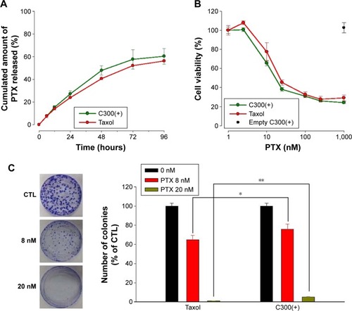 Figure 6 Release profile and in vitro anticancer efficacy of varying PTX formulations.Notes: (A) Comparison of PTX release profile between liposomal formulation and Taxol®. (B) Evaluation of anticancer efficacy of liposomal formulation in comparison with Taxol. Human H460 lung cancer cells treated with varying concentrations of PTX-loaded C300(+) liposomes or Taxol for 48 hours were subjected to MTT assay. (C) Comparison of antiproliferative effects assessed by colony formation assay. Mouse B16-F10 melanoma cells were treated for 8 days with different concentrations of PTX-loaded C300(+) liposomes or Taxol. The number of colonies in the dish treated with saline was used as an index for a 100% (control) and this value was used to obtain the percentage colony numbers for other dishes. Left panel is the representative dishes following crystal violet staining of cell colonies treated with liposomal formulation (n=4, *P<0.05, **P<0.005 compared to Taxol). PTX-loaded liposomes were prepared with a 7:1:0.4 of DMPC:CHOL:PE-PEG mixture with C300 (2 mg per 42 μmole lipid).Abbreviations: C300(−), Captex 300-free liposomes; C300(+), Captex 300-incorporated liposomes; CHOL, cholesterol; CTL, control; DMPC, 1,2-dimyristoyl-sn-glycero-3-phosphocholine; empty C300(+), paclitaxel-free/Captex 300-incorporated liposomes; MTT, 3-(4,5-dimethylthiazol-2-yl)-2,5-diphenyltetrazolium bromide; PE-PEG, N-(Carbonyl-methoxypolyethyleneglycol 2000)-1, 2-distearoyl-sn-glycero-3-phosphoethanolamine; PTX, paclitaxel; SD, standard deviation.