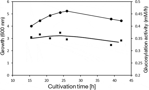 Figure 3. Time course showing growth and transglucosylation activity of Agrobacterium sp. M-12 in a 1-L jar fermenter.Closed circles, turbidity at 600 nm; closed squares, transglucosylation activity. Values represent means of three independent experiments.