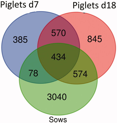 Figure 1. Venn diagram: number of unique and common amplicon sequence variants (ASVs) of sows and piglets at d7 and d18.