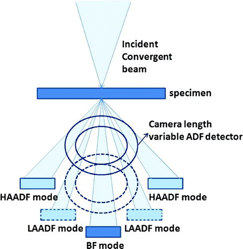 Figure 1. Schematic diagram of the virtual displacement of the ADF detector in STEM mode. The ADF detector is at the upper position in HAADF mode to collect high angle scattered electrons which contain Z-contrast information, and at the lower position in LAADF mode to collect low angle scattered electrons which contain both Z-contrast and diffraction contrast information. The unscattered rays can be collected by the BF detector.