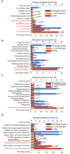 Figure 3. Functional enrichment analysis of genes correlated with LOXL2 using FunRich3.1.3. (a) The cellular component analysis for correlated genes. (b) Molecular function analysis for correlated genes. (c) Biological process analysis for correlated genes. (d) Biological pathway analysis for correlated genes.