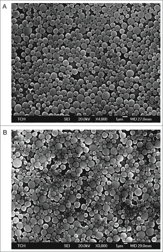 Figure 1. Nanoparticle delivery system. SEM images of PLGA nanoparticles containing (A) Tc24 and (B) CpG. Scale bars are 1 μm.