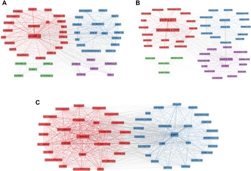 Figure 5 Co-citation network analysis with the identification of only 2 co-citation clusters for (A) authors, (B) articles, and (C) journals.