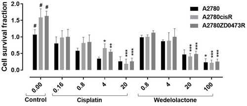 Figure 3 Cell survival fraction values as calculated in ovarian cancer cell lines including A2780, A2780cisR and A2780ZD0473R in response to cisplatin and wedelolactone. Data are expressed as means ± SEM (n = 7); and interactions examined by ANOVA (two-way) pursued by multiple comparison test (post hoc Bonferroni) using the software Graph Pad Prism-6. * indicates P < 0.05, ** indicates P <0.01 and *** indicates P <0.001. # shows significant difference relative to the control.