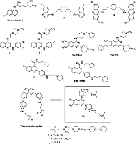 Figure 1. The structures of chloroquine (CQ), bisquinoline A, bisacridine B, 2-anilino-4-amino- quinazolines C, D, diamino-quinazolines BIX-01294 and TM2-115, and quinolines E and DDD107498, and newly synthesised 2,4-bis[(substituted-aminomethyl)phenyl]quinoline, 1,3-bis[(substituted-aminomethyl)phenyl]isoquinoline and 2,4-bis[(substituted-aminomethyl)phenyl]quinazoline derivatives 1–3.