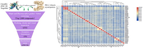 Figure 3. (A) Schematic representation of virtual screening protocol leading to identify potent PD-L1 inhibitors. (B) Heatmap presentation of topological similarities of the 35 hits to the reported PD-L1 inhibitors.