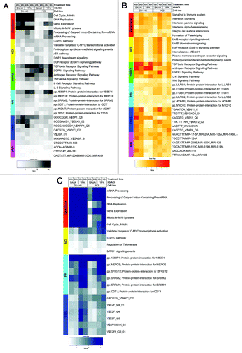 Figure 1. Heat maps visualizing differentially expressed functional gene sets (FGS) as determined by analysis of functional annotation (AFA) performed on DU-145 and PC3 cells treated with HDAC-inhibitors (HDACis) VPA or vorinostat for 48 or 96 h. Each row represents a distinct FGS, while each column represents a distinct coefficient from our previous linear model analysis. The FGS that were most significantly differentially expressed across all comparisons performed are shown in the figure (top 5 FGS showing an adjusted p-value ≤ 5%, or more in case of ties). Color scales correspond to the absolute adjusted p-values obtained from our analysis after base 10 logarithmic transformations (i.e., the number on the color scale increases with decreasing adjusted p-values). Differentially expressed FGS were selected from different collections in order to encompass distinct biological concepts, as shown by the color bar on the left of each heat map. Cell signaling FGS are highlighted in red and yellow (Pathway Commons Reactome and NCI pathways, respectively), signaling pathway target gene sets in green (Human Protein Reference Database, HPRD), protein-protein-interaction networks in cyan (PPI, as compiled in the NCBI Entrez Gene database), FGS for shared transcriptional factor binding sites (TFBS) in blue, and microRNA (MIR) targets gene sets in pink (both from the Broad Institute Molecular Signature Database collections). For complete tables and heat maps visualizing all differentially expressed FGS, see supplementary data (available at the journal’s website and at http://luigimarchionni.org/HDACIs.html). (A) Differentially expressed FGS after ordering the genes based on absolute moderated t-statistics, thus irrespective of the direction of gene expression modulation upon HDAC-inhibition. (B) FGS differentially expressed due to upregulated genes, as determined by signed t-statistics. (C) FGS differentially expressed due to downregulated genes, as determined by signed t-statistics.