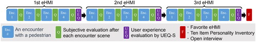 Figure 4. A schematic diagram of the experimental process.