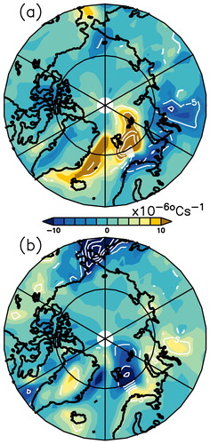 Fig. 9. Composites of temperature advection at 1000 hPa during positive (a) and negative (b) temperature anomalies in Ny Ålesund. The composites are constructed for years when temperature anomalies were positive and negative during La Nina/El Nino respectively. Contours represent regions of significance at 95% confidence level.