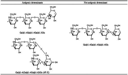 Fig. 3. Structures of tetrasaccharides in Bc-GOS responsible for 4′-GOS-AL.