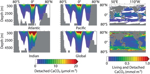 Fig. 8 Zonally averaged CaCO3 concentration by ocean basin (left and middle panels). Model CAL CaCO3 concentration, including living CaCO3 attached to phytoplankton calcifiers and zooplankton, in the surface grid box (to 50 m depth, top right panel). Bottom right is the standard CaCO3 product from Aqua MODIS, accumulated over the entire mission (2002–2013; NASA, Citation2013).