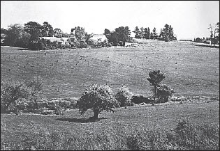 Plate II. Friedensruh and original pear tree, from the north bank of Ruffey Creek, 1973 (Source: City of Manningham: Calder et al. Citation1974).