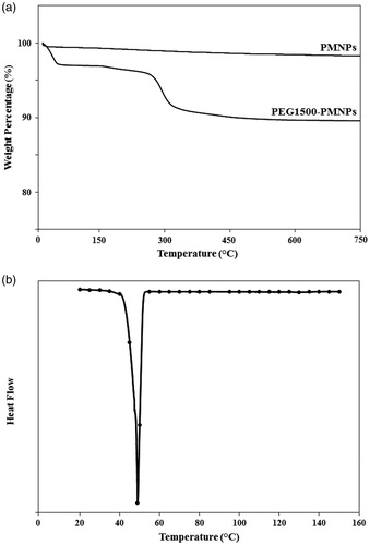 Figure 7. (a) The TGA and (b) DSC analyses of the synthesized PEG1500-PMNPs.