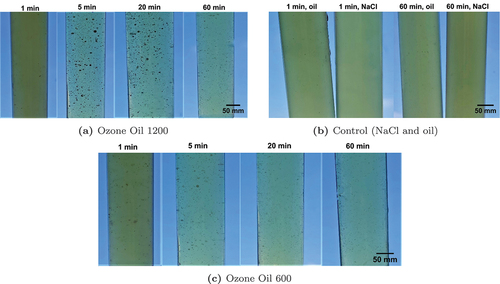 Figure 1. Resulting tubes with E. coli as test strain for liquid medium kinetic analysis. Ozone Oil 1200 and Ozone Oil 600 are used as antimicrobial agent, non-ozonated oil and NaCl are applied as negative control agent, and LB is employed as culture medium. The exposure times are for all agents between 1 min and 60 min. As with the solid medium kinetic analysis, cloudy spots are observed for the Ozone Oil 1200.