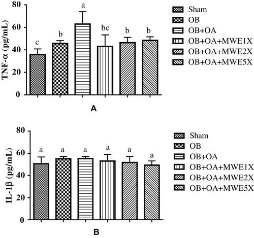 Figure 3 Effects of Mytilus edulis water extract on plasma (a) TNF-α and (b) IL-1β levels after treatment for 6 weeks.Notes: Data are shown as the mean ± SEM. The values with different letters a–cRepresent a significantly difference (p < 0.05) as analyzed by Duncan’s multiple range test.Abbreviations: IL, interleukin; MWE, Mytilus edulis water extract; OA, osteoarthritis; OB, obese; TNF, tumor necrosis factor.
