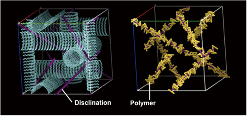 Figure 9. BPI stabilized by the polymer concentrated in the disclination lines [Citation15]. Reprinted by permission from Macmillan Publishers Ltd: H Kikuchi et al 2002 Nat. Mater. 1 64–8, copyright 2002.