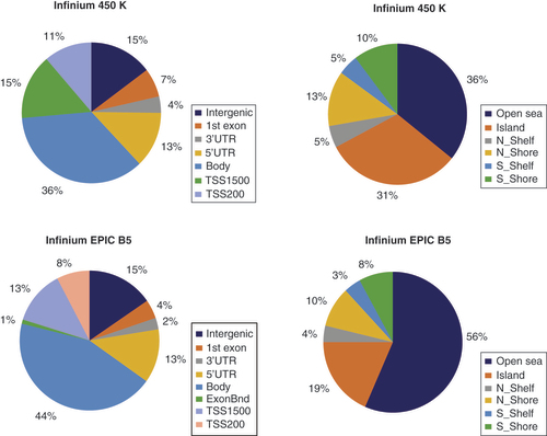 Figure 5. Distribution of human CpG probes in Infinium 450K and Infinium EPIC, as annotated by Illumina for Homo sapiens genome (GRCh37). All CpG probes are valid for human (482,421 probes in Infinium 450K and 862,927 in Infinium EPIC), which represent 802,912 and 1,605,008 gene features annotations in total for Infinium 450K and Infinium EPIC, respectively. Note that one probe can be attributed to different transcripts and thus gene features, whereas one probe is attributed to only one island feature.