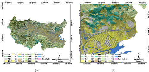 Figure 12. (a) New ILOT map with upgraded agricultural uses, after the incorporation of the individual farmlands provided by the BD dataset; (b) Enlarged detail near the basin outlet.