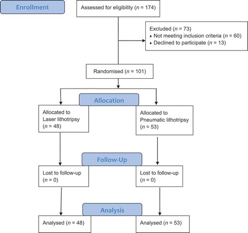 Figure 1. Consolidated standards of reporting trials (CONSORT) flow diagram.