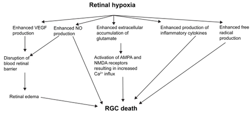 Figure 1 Potential mediators of RGC death in retinal hypoxia-ischemia.