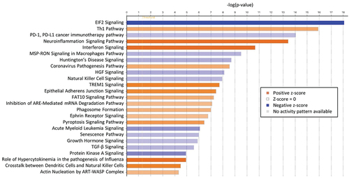 Figure 2. Top 25 canonical pathways enriched for vaccine-induced SPZ-stimulated DEG set (comparing pre- and post-immunization timepoints, n = 12). Red and blue colors indicated up- and downregulation, respectively. The intensity of the colors quantified the magnitude of the activation score from IPA analysis.