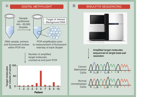 Figure 6.  Clinical assay formats to analyze aberrantly methylated cell free DNA targets in cancer samples. (A) Analysis of bisulfite-modified cell-free DNA by digital PCR. Each individual sample is partitioned into 1000s of nanoliter partitions via oil emulsion and dispersion. Low abundant cancer-specific and differentially methylated targets are sequestered away from wild-type background DNA to increase the signal-to-noise ratio. The absolute number of target molecules is counted at end point PCR and expressed as number of molecules per volume of serum allowing patient samples to be compared. (B) Bisulfite sequencing of cell-free DNA derived from serum. Following bisulfite conversion, specific DNA regions that are aberrantly methylated in cancer samples can be analyzed at single base-pair resolution.