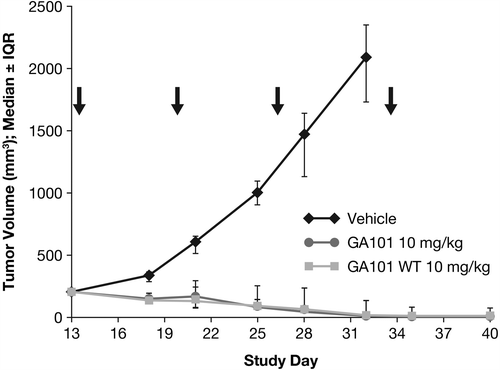 Figure 2. Effect of CD20 antibody treatment with 10 mg/kg glycoengineered and wild-type (WT) obinutuzumab (GA101) (q7d × 4) on tumor growth (day 40). IQR, interquartile range.