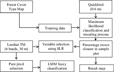 Figure 2. The methodological workflow.