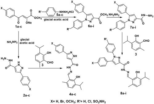 Scheme 1. Synthesis of the target thymol–1,5-disubstitutedpyrazole hybrids.