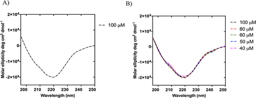 Figure 7 (A and B) report the CD spectrum of NF-Dox at the concentration of 100 µM and the stability of β-aggregates under the dilution effect, respectively.