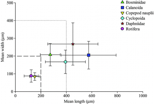 FIGURE 8 Body lengths and widths for the most common zooplankton taxa. Values are means ± SDs. The dashed lines represent the maximum prey size for larval alewives, blueback herring, and hickory shad at first feeding. The dotted lines represents the maximum prey size for larval American shad at first feeding.