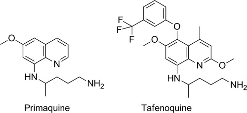 Figure 3. The structures of leading 8-aminoquinolines: primaquine, tafenoquine.