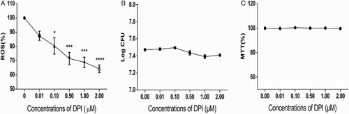 Figure 1 DPI treatment efficiently decreased ROS levels in a dose-dependent manner without affecting the growth of L. monocytogenes. (A) ROS level in L. monocytogenes decreased dose-dependently with DPI concentrations. ROS was measured by DCFH-DA, and fluorescence was determined to indicate the ROS level. The ROS level of 0 μM DPI-treated bacteria was set at 100%, and those of the other groups were divided by that of the 0 μM-treated group to normalize the data. One-way ANOVA was used to perform statistical analysis, *P < 0.05, **P < 0.01, ***P < 0.001. (B) CFU of L. monocytogenes was not altered when treated with DPI. CFU of each group was transformed to log CFU. C, MTT assays suggested no considerable changes in bacterial activity under DPI treatment. The absorbance data at 570 nm of each group were normalized with the same method used in (A) and (B).
