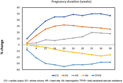 Figure 2. Hemodynamic changes during pregnancy.
