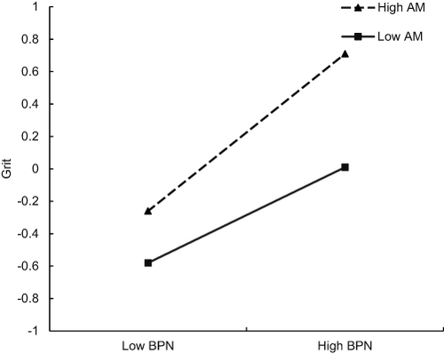 Figure 2 The effect of the interaction between basic psychological needs and achievement motivation on grit.